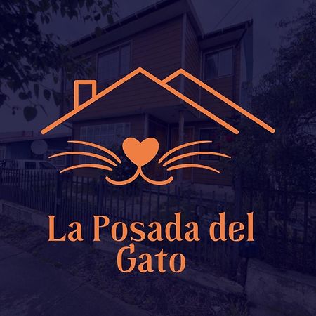 Posada De Los Gatos Bed and Breakfast Puerto Natales Exteriör bild