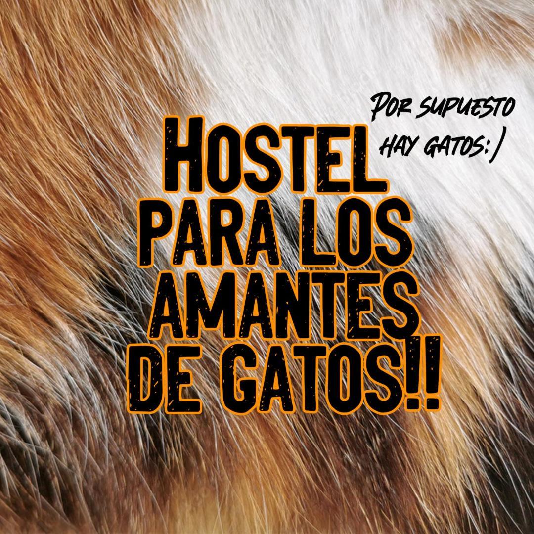 Posada De Los Gatos Bed and Breakfast Puerto Natales Exteriör bild